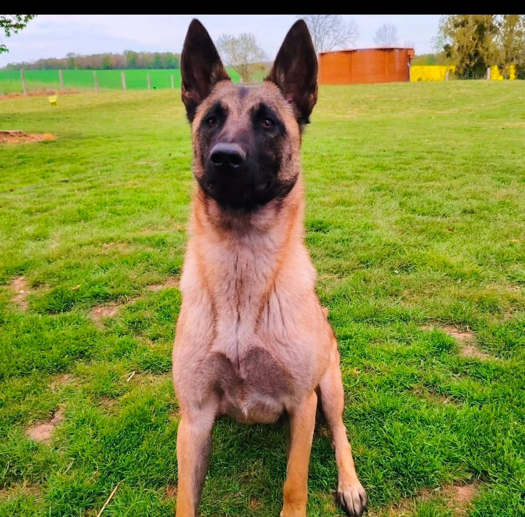 Vulka  des Bidibooms De La Noue