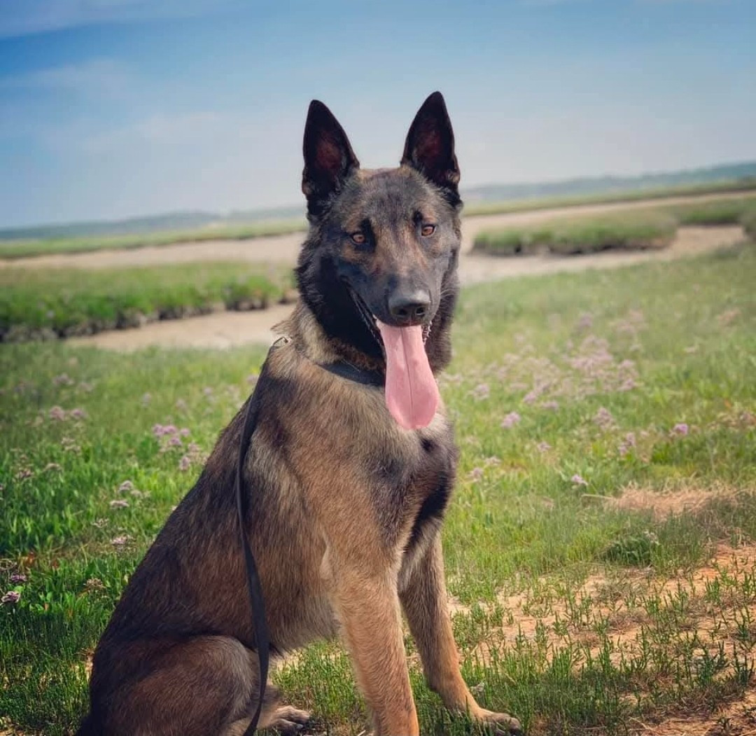  Q-one of silver rails